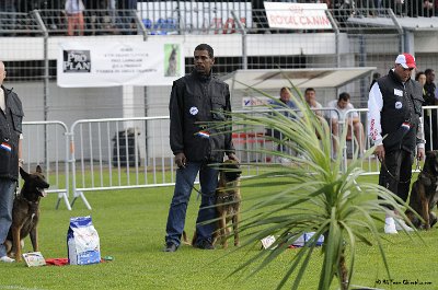 Remise des Prix 045.JPG - CHIENPLUS.COM